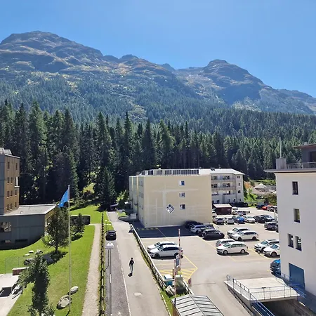 Ruben - Sunflower * St Moritz