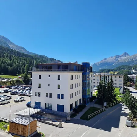 Ruben - Sunflower Sankt Moritz