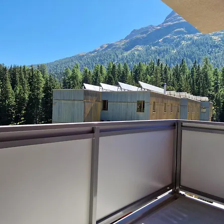 Ruben - Sunflower Sankt Moritz